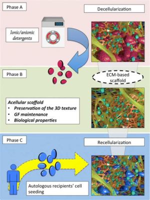  Bioactive Glass Applications: Revolutionizing Tissue Engineering and Regenerative Medicine!