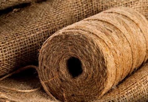 Jute: La fibra naturale che rivoluzionerà l'industria tessile e della carta