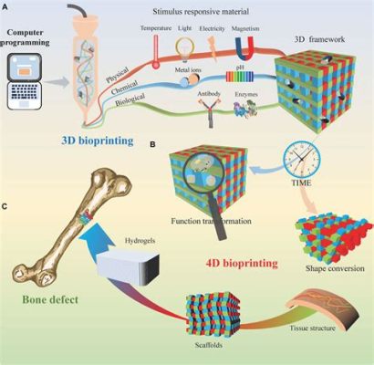 Materiali Magnetici per l'Ingegneria Tissutale e la Ricostruzione Ossea: La Magia del Magneto!