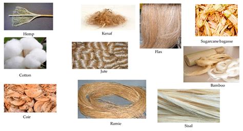 Fibra di Flax: Una Materia Prima Tessile Multiforme per un Futuro Sostenibile!