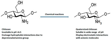  Quantifying Quaternized Chitosan: A Biomaterial Powerhouse for Biomedical Engineering!