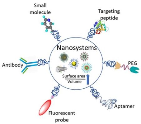  Quaternized Nylon: Un Materiale Innovativo per Membrani ad Alta Performance e Rivelazione di Biomolecole!